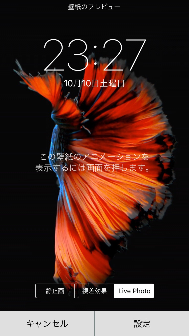 Iphone6s Or Plusに標準で搭載されてる動く壁紙 Live Photo が美しすぎ